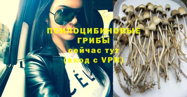 mdma Новозыбков