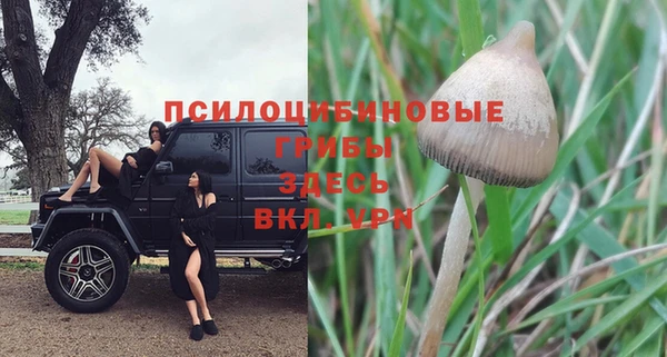 mdma Новозыбков