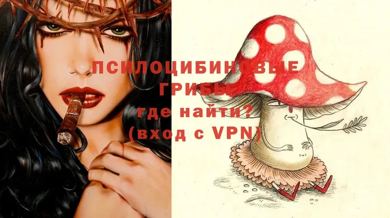 Псилоцибиновые грибы MAGIC MUSHROOMS  Кондрово 