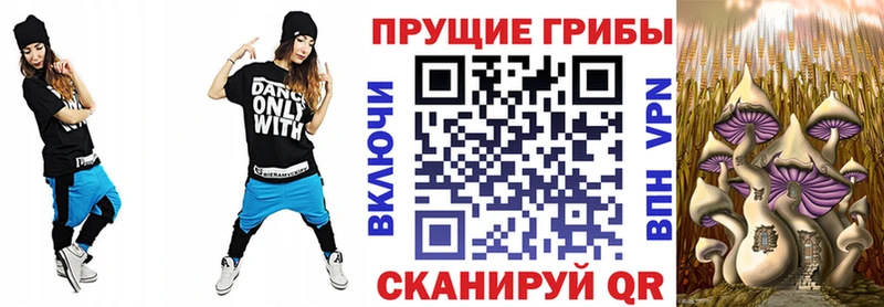 наркота  Кондрово  Галлюциногенные грибы мухоморы 